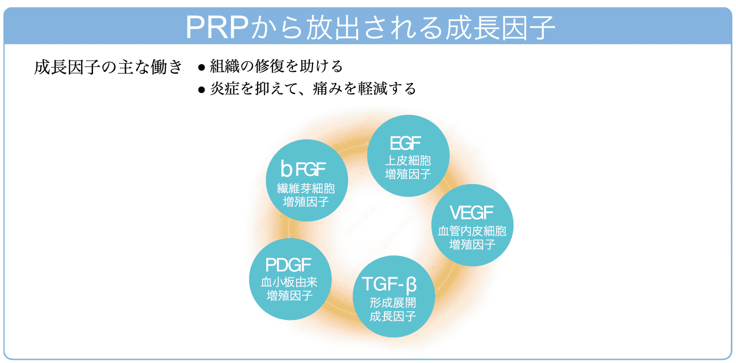 PRP療法は